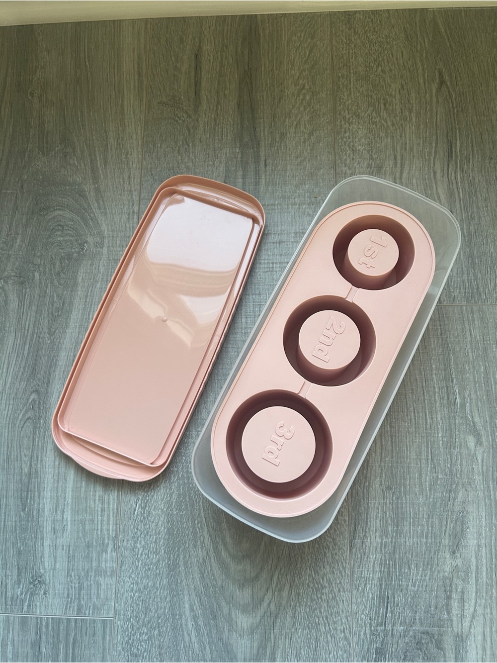 Stanley Ice Mold